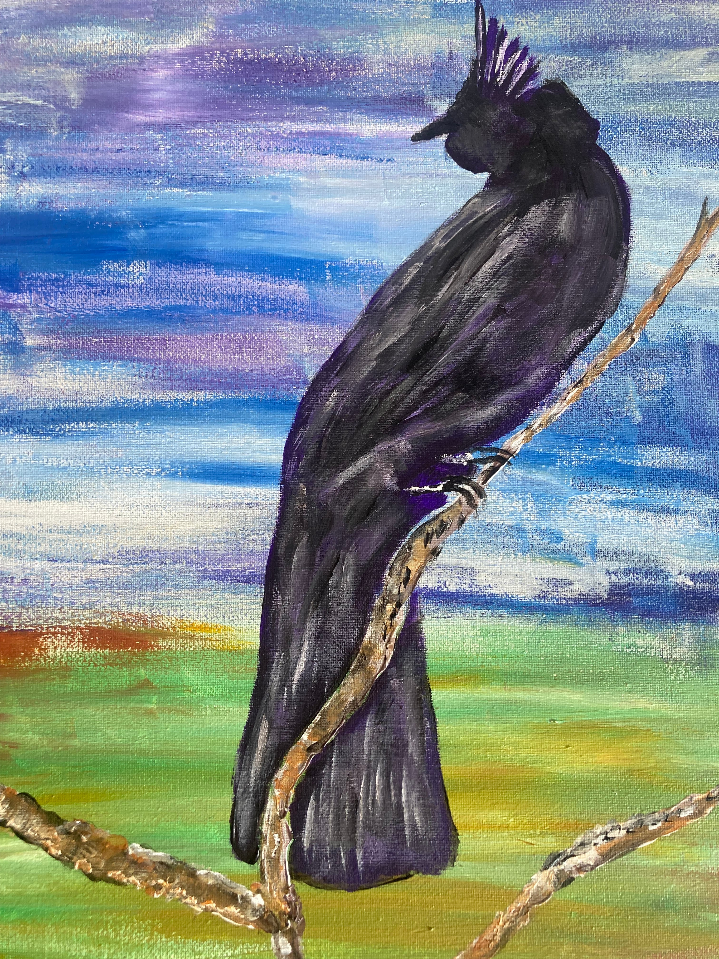 Phainopepla