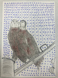Perched Bald Eagles