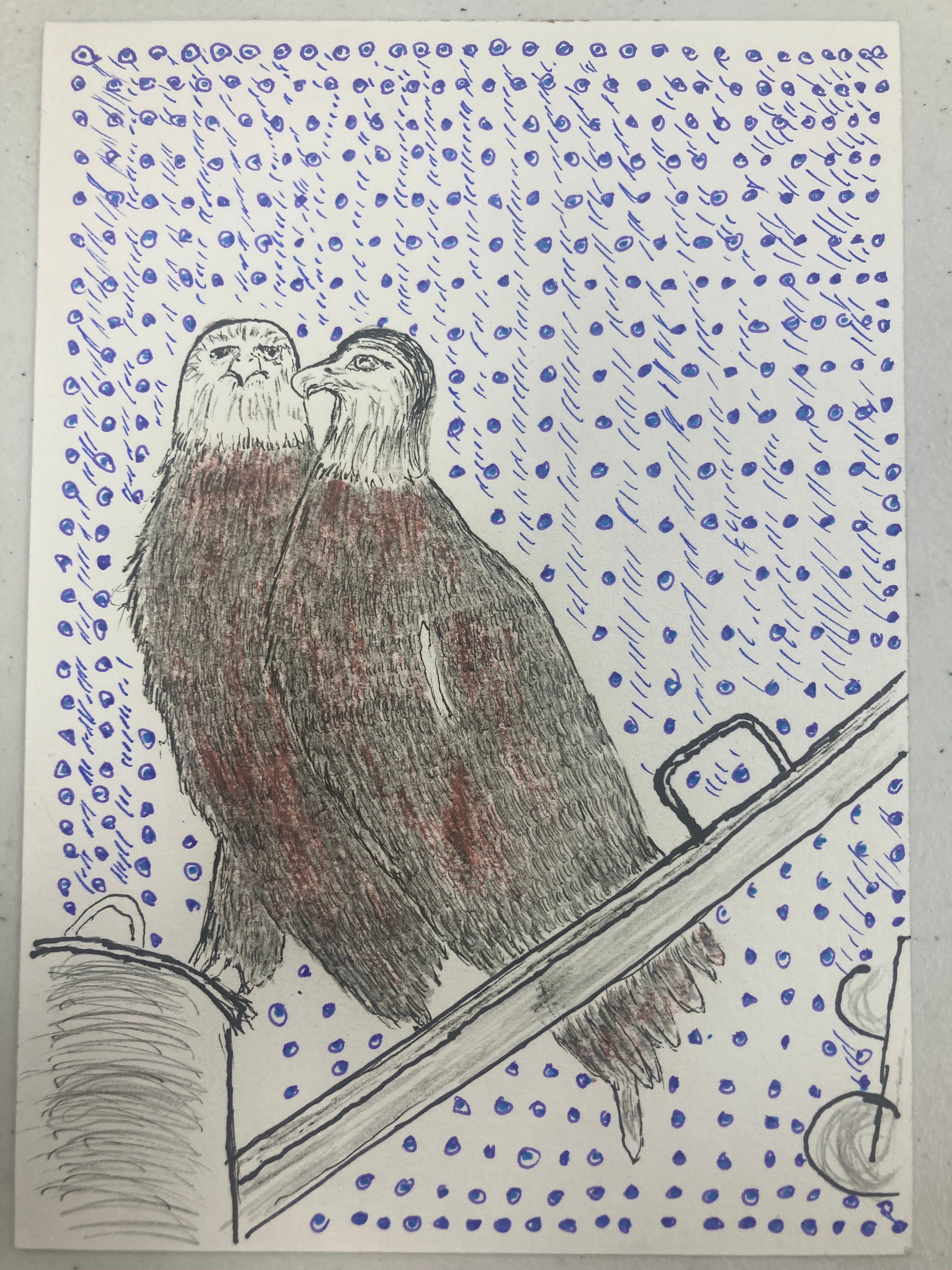 Perched Bald Eagles
