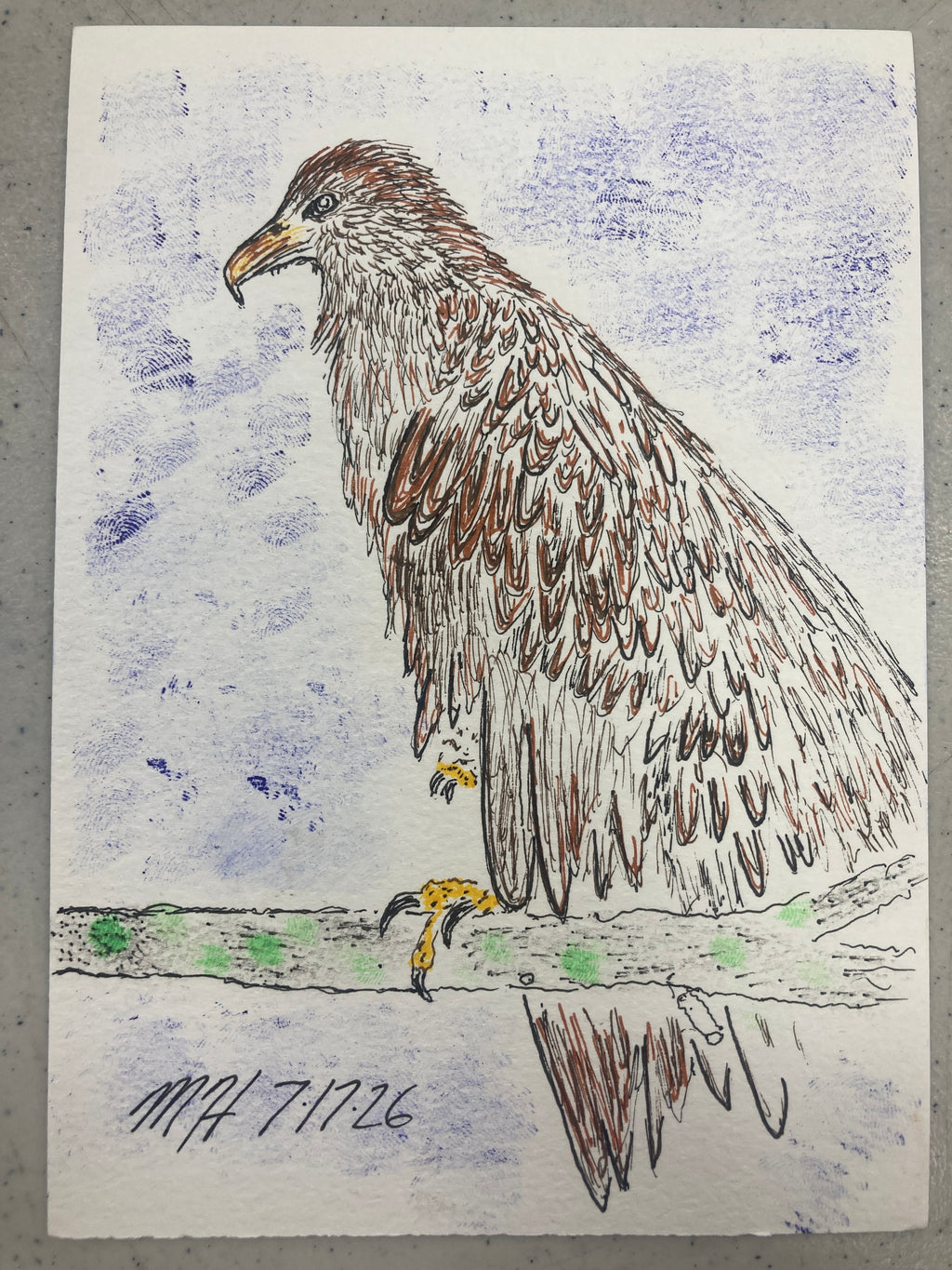 Baby Bald Eagle Illustration