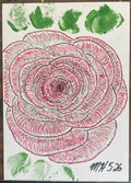 Rose 5826