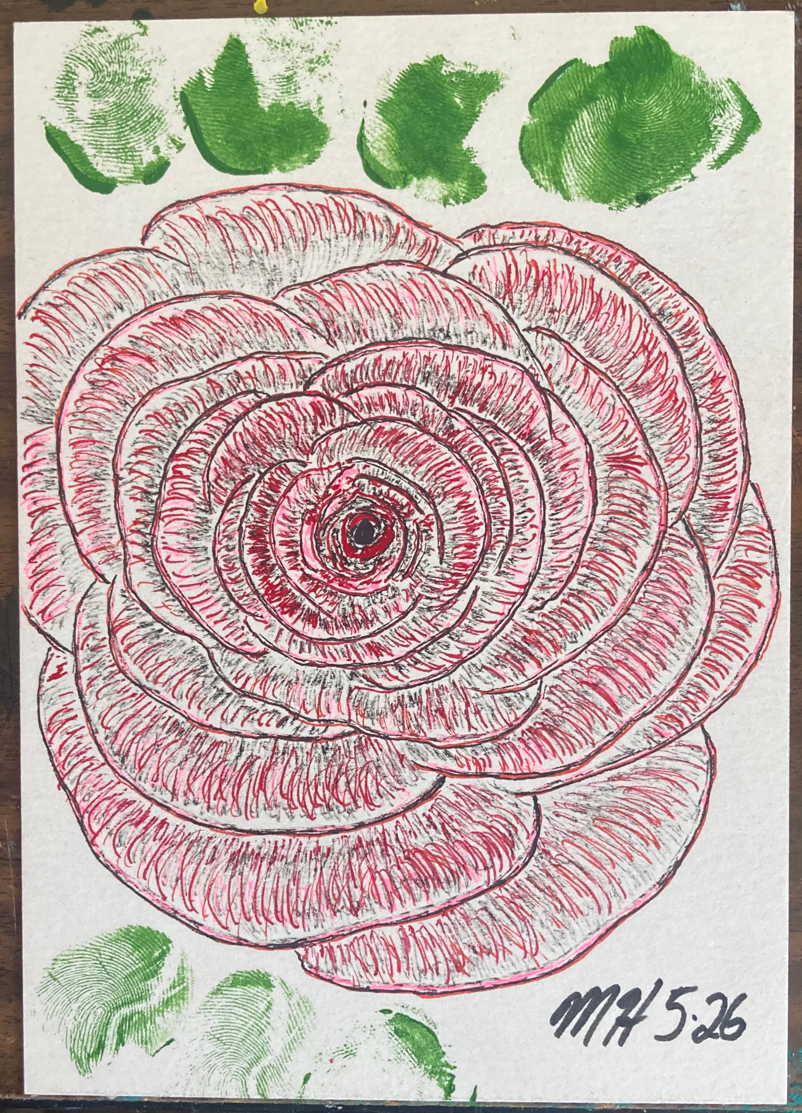 Rose 5826