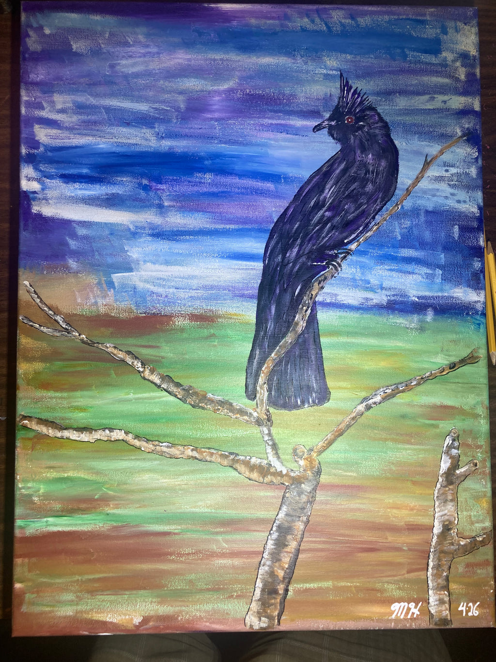 Phainopepla