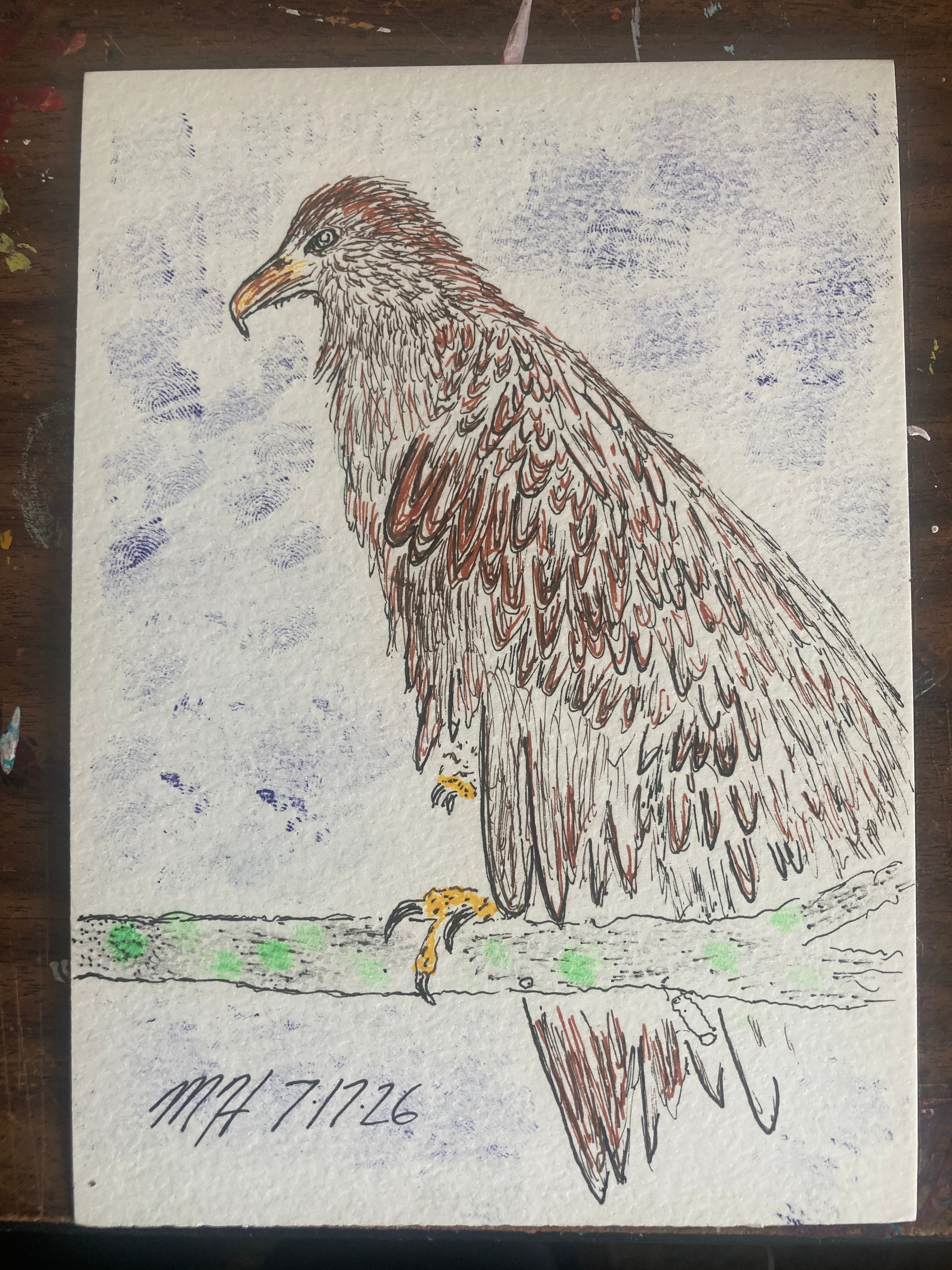 Baby Bald Eagle Illustration