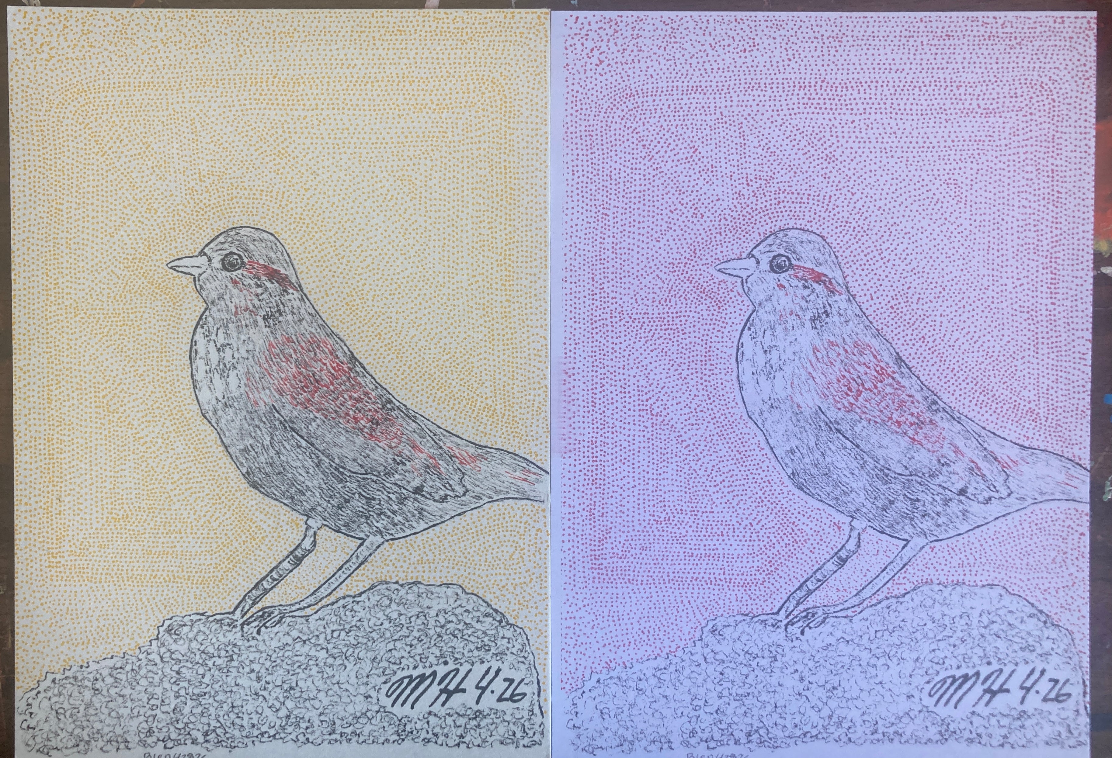 BIRD42826RISO