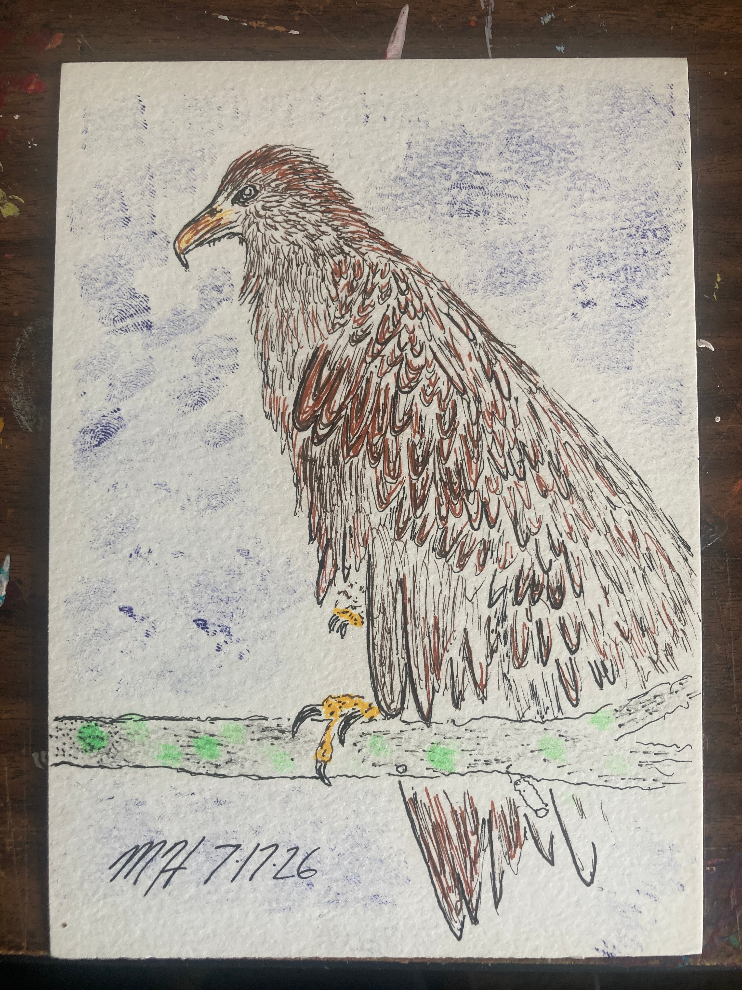 Baby Bald Eagle Illustration