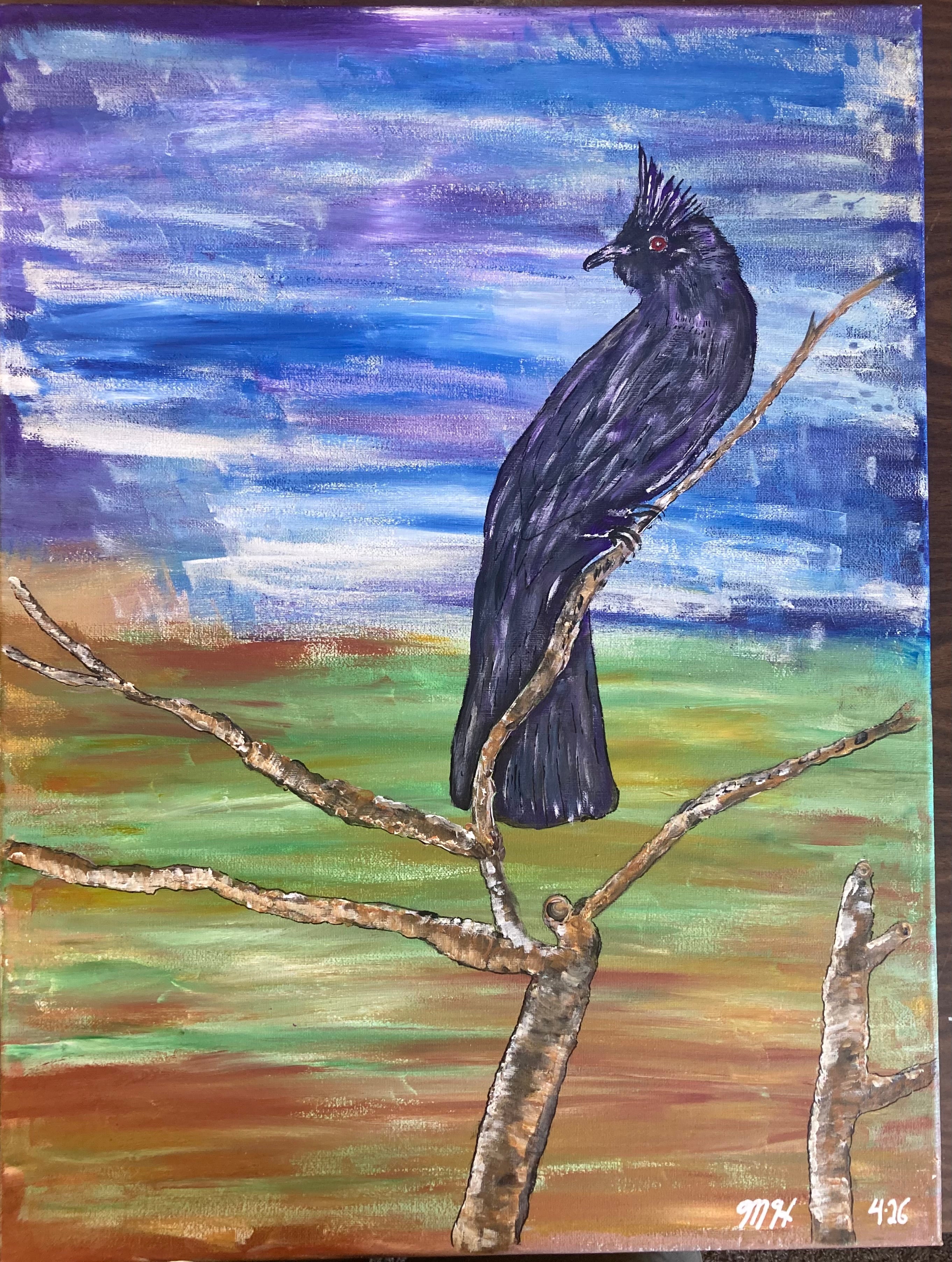 Phainopepla