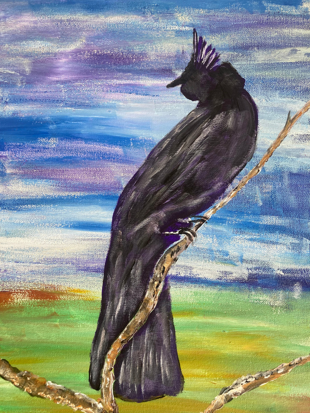 Phainopepla