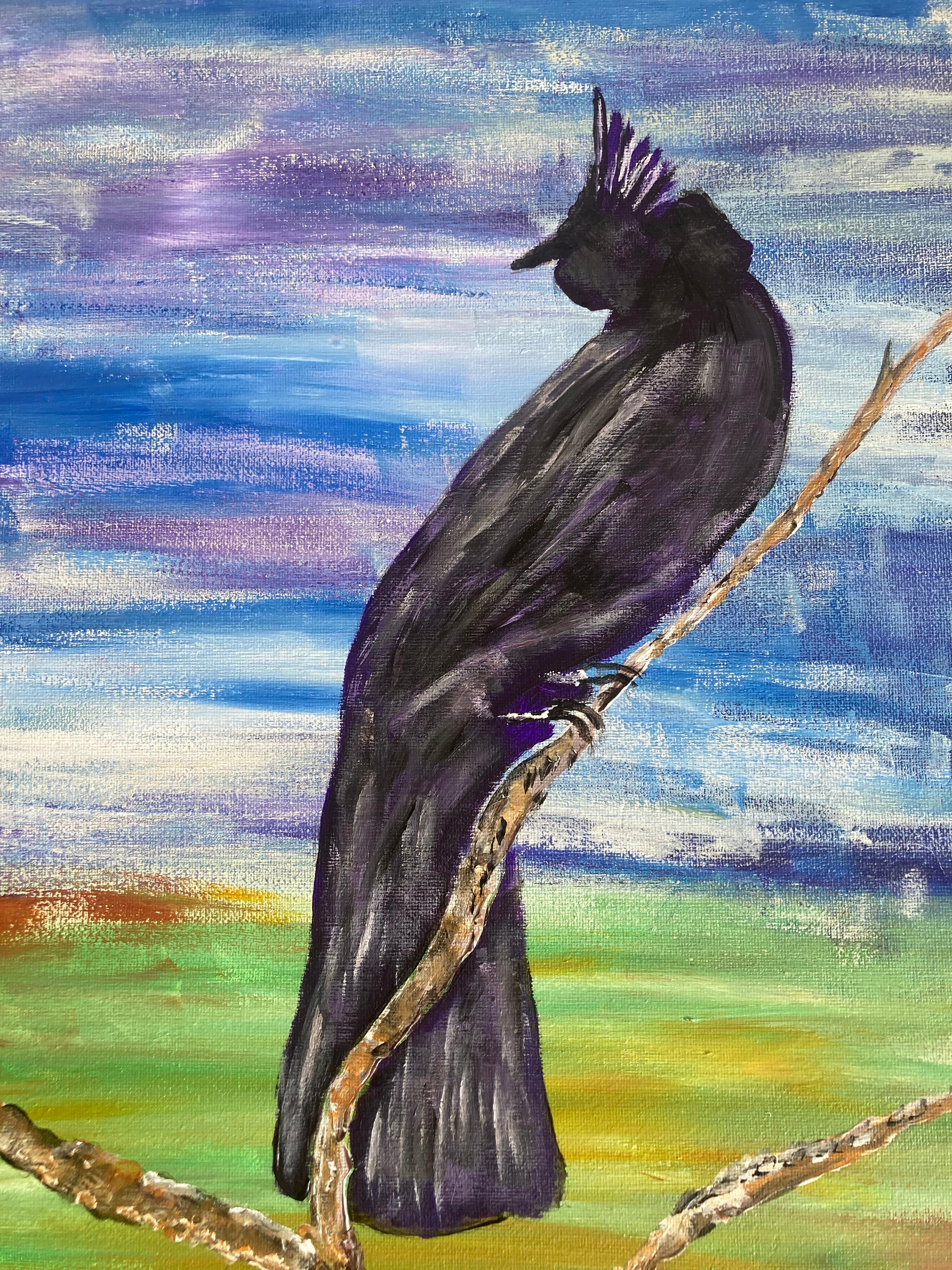 Phainopepla