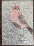 Crimson Finch Illustration