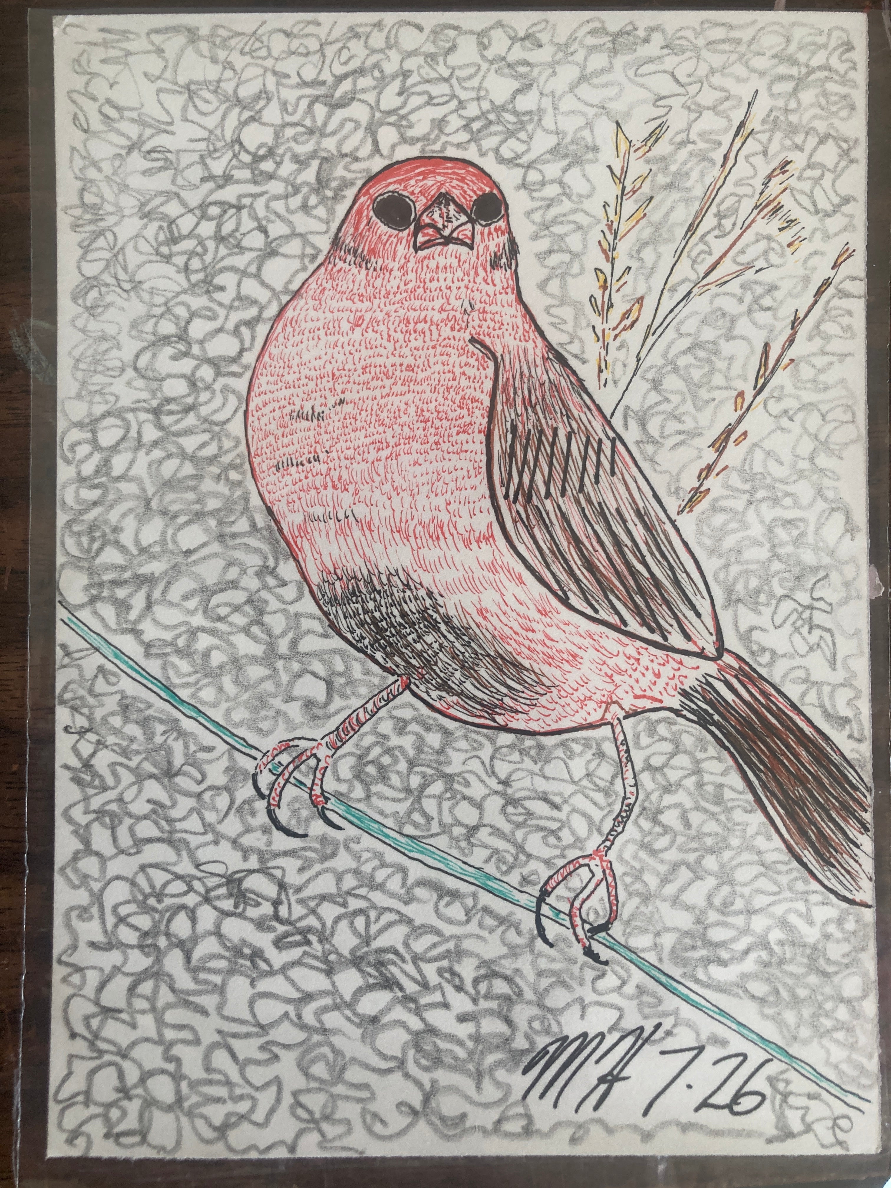 Crimson Finch Illustration