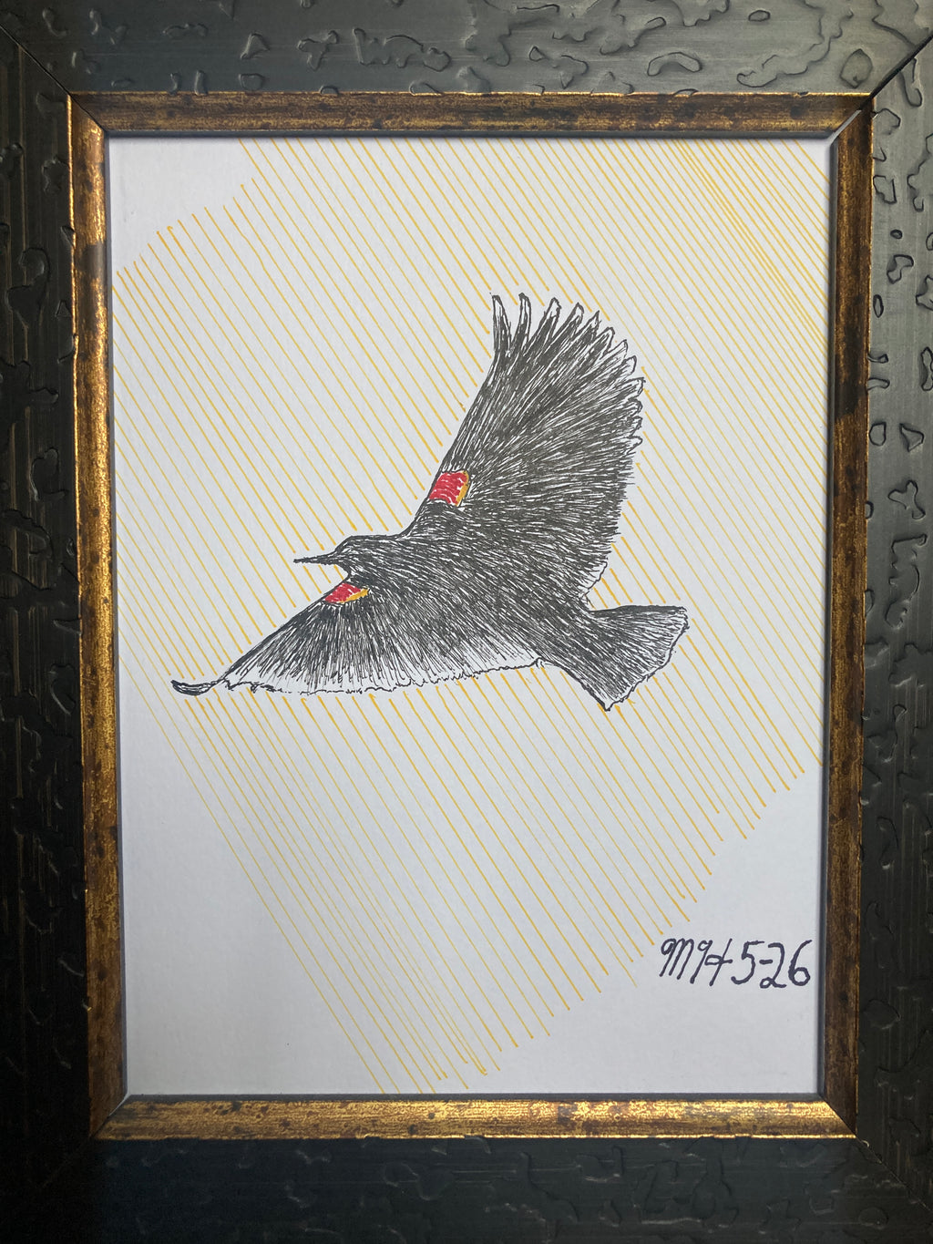Red-winged Blackbird Polo(Male Ralph Lauren) Collage