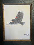 Red-winged Blackbird Polo(Male Ralph Lauren) Collage
