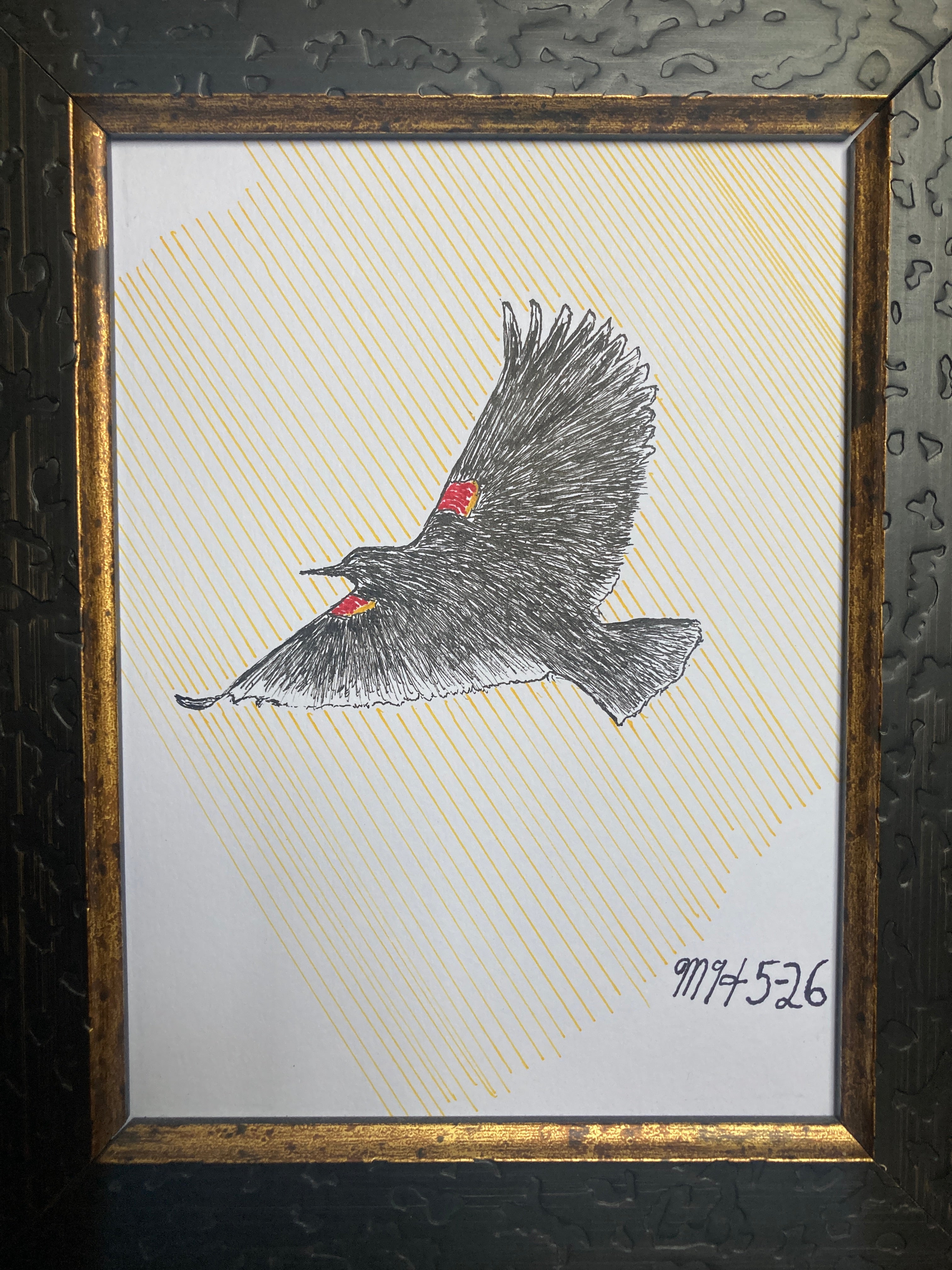 Red-winged Blackbird Polo(Male Ralph Lauren) Collage
