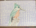 Angry Kingfisher