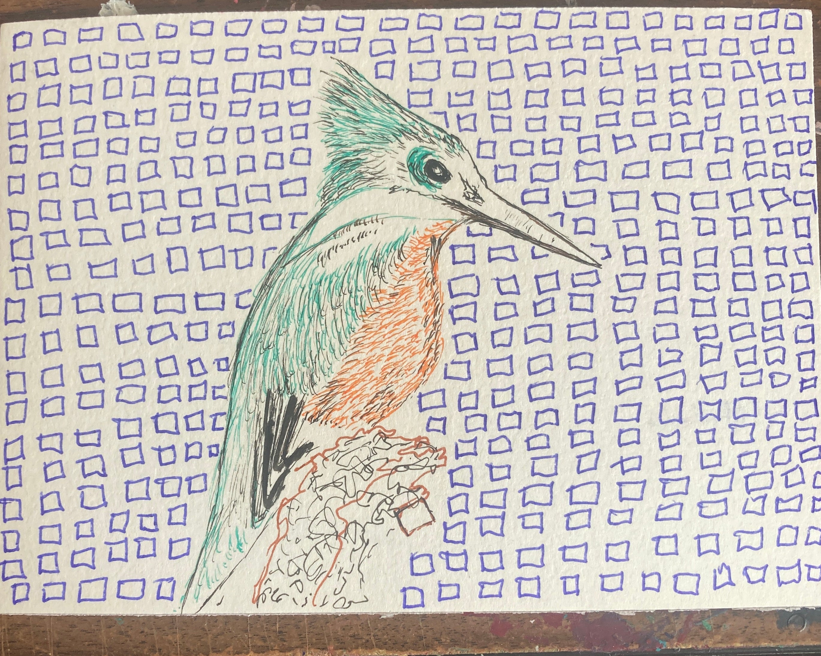 Angry Kingfisher