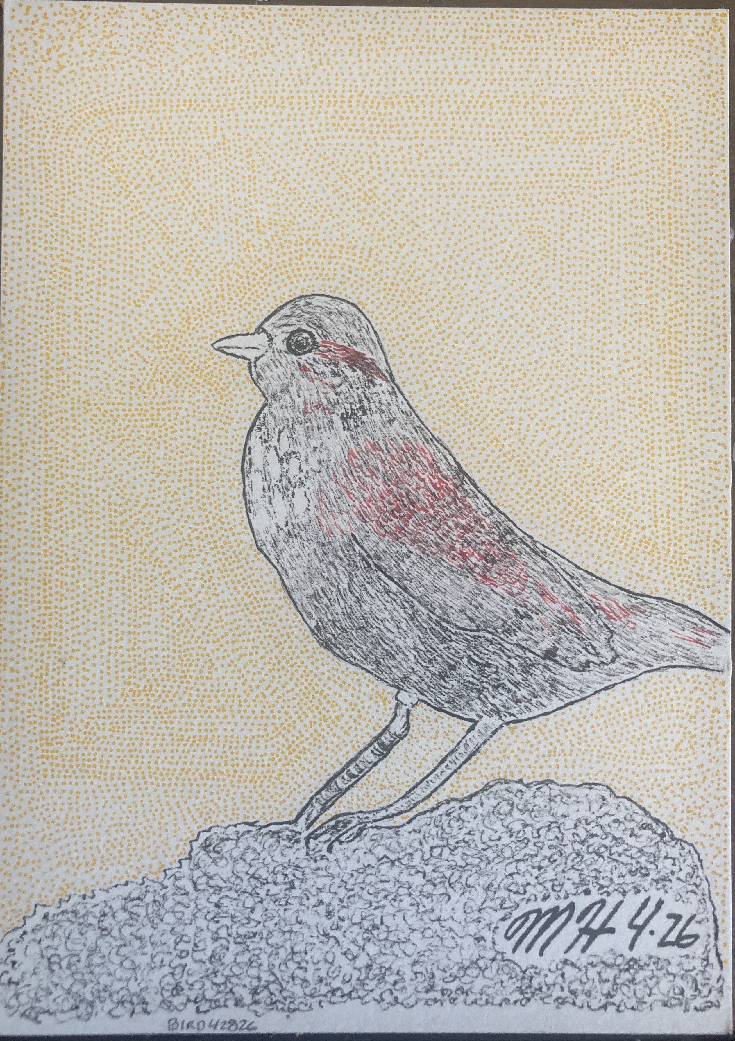 BIRD42826RISO