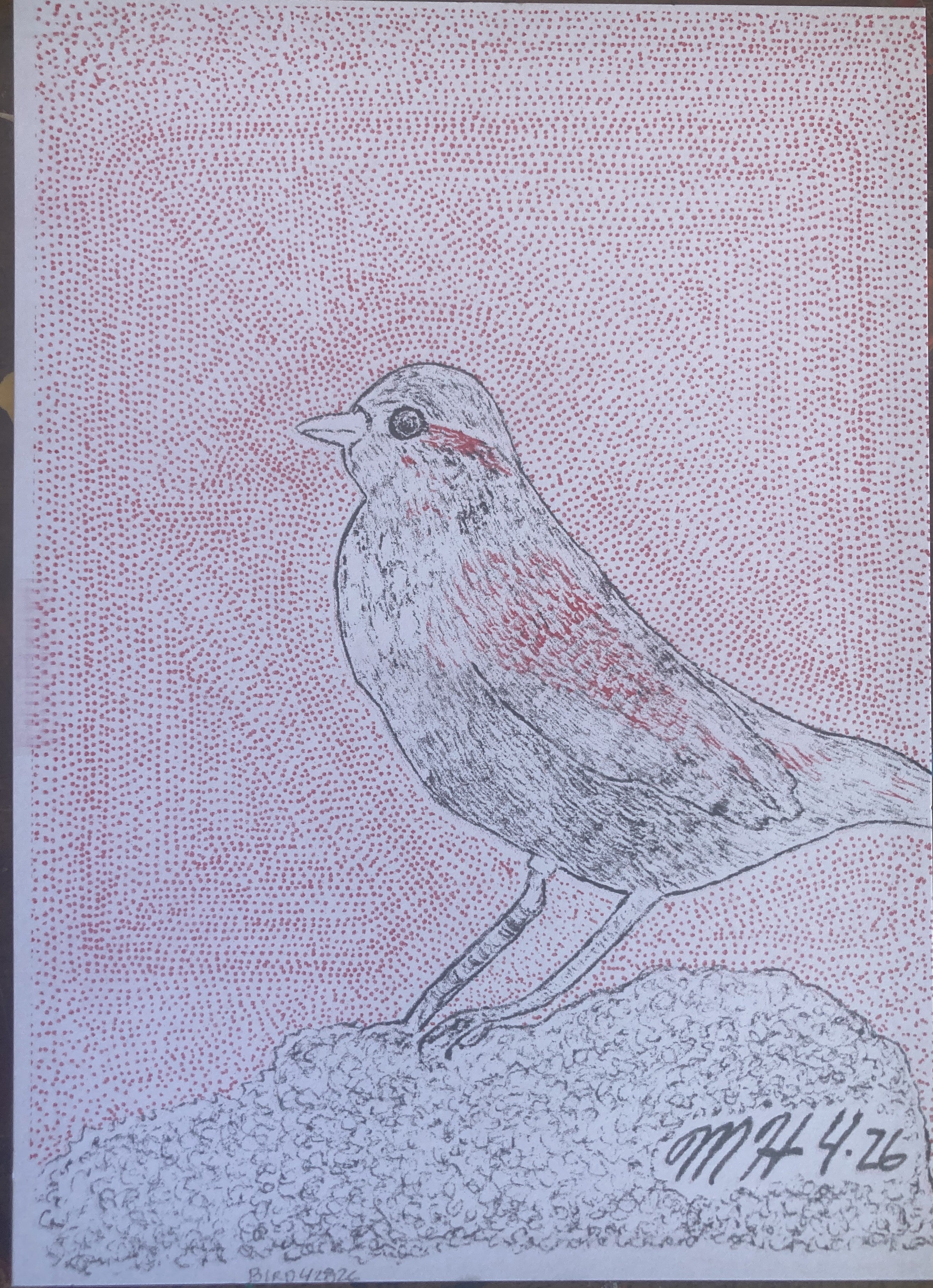 BIRD42826RISO
