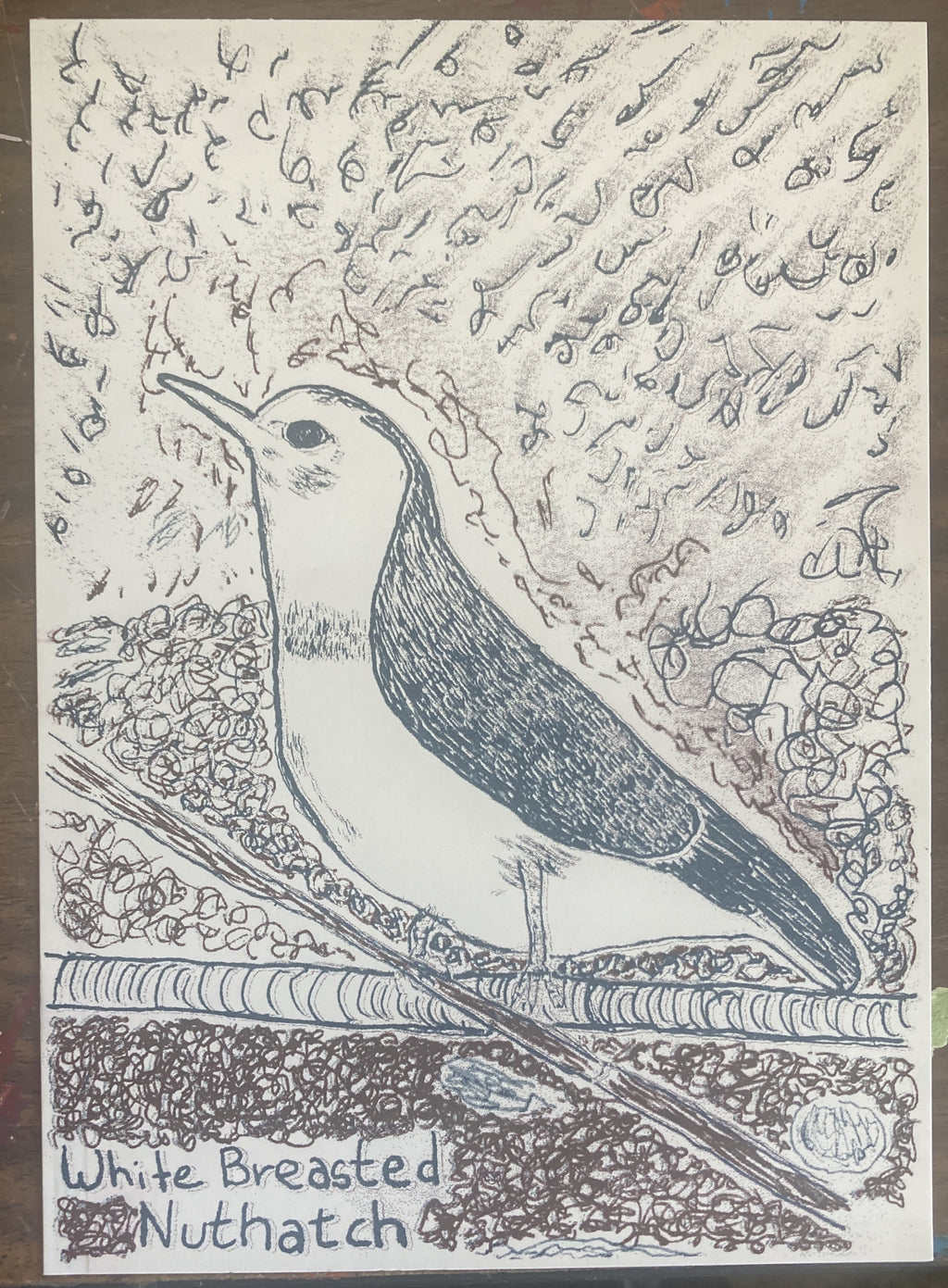 WHITEBREASTEDNUTHATCHRISO