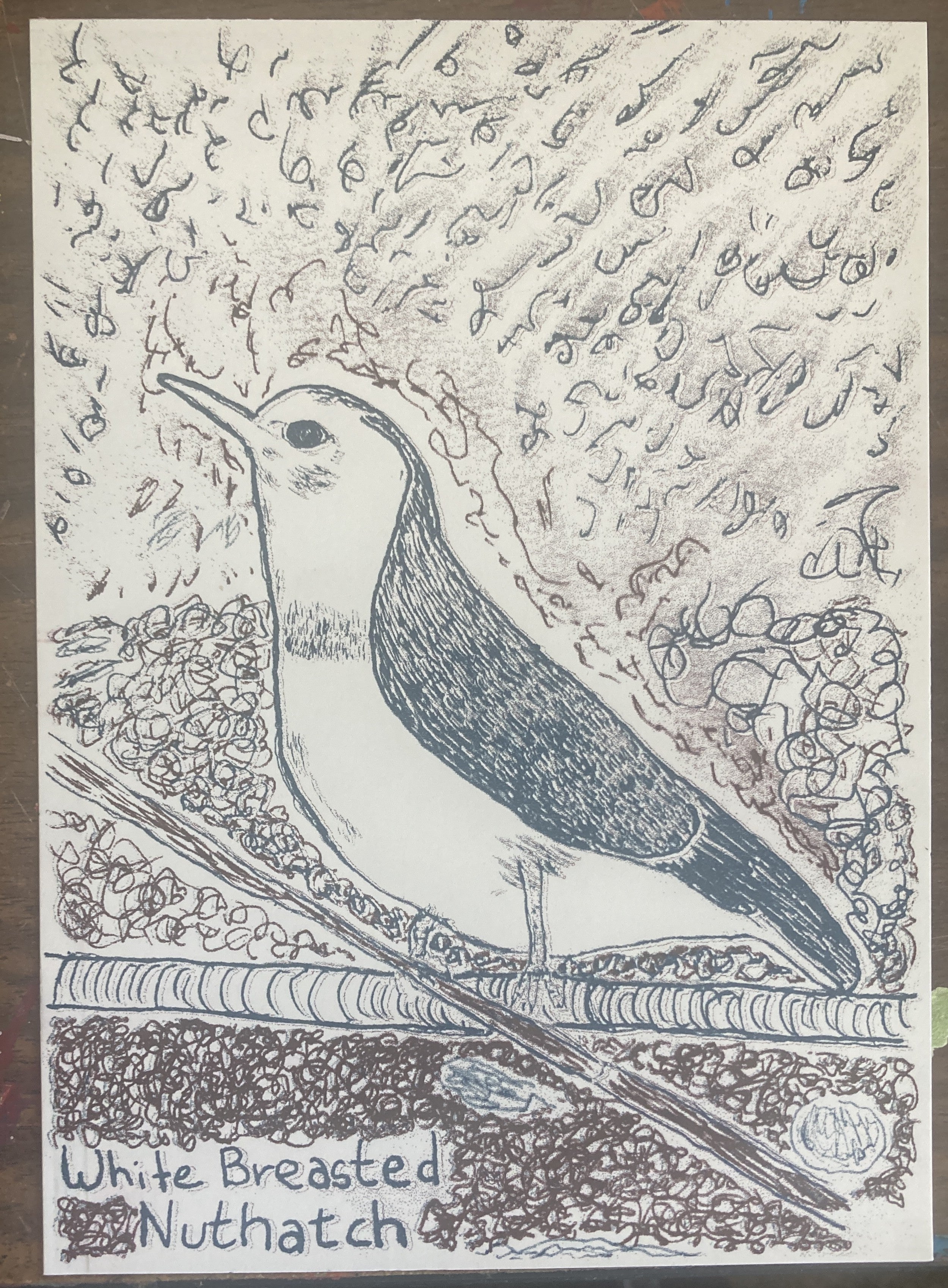 WHITEBREASTEDNUTHATCHRISO