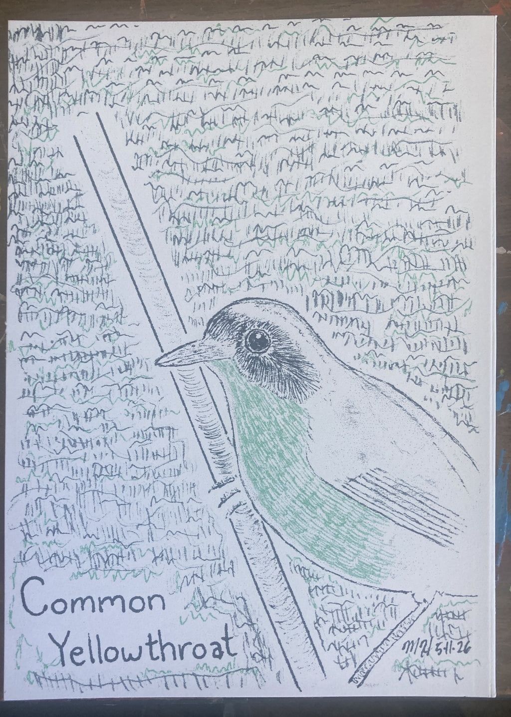 COMMONYELLOWTHROATRISO