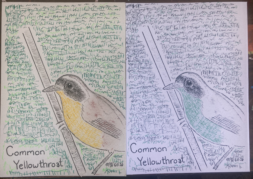COMMONYELLOWTHROATRISO