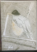 AMERICANROBINRISO