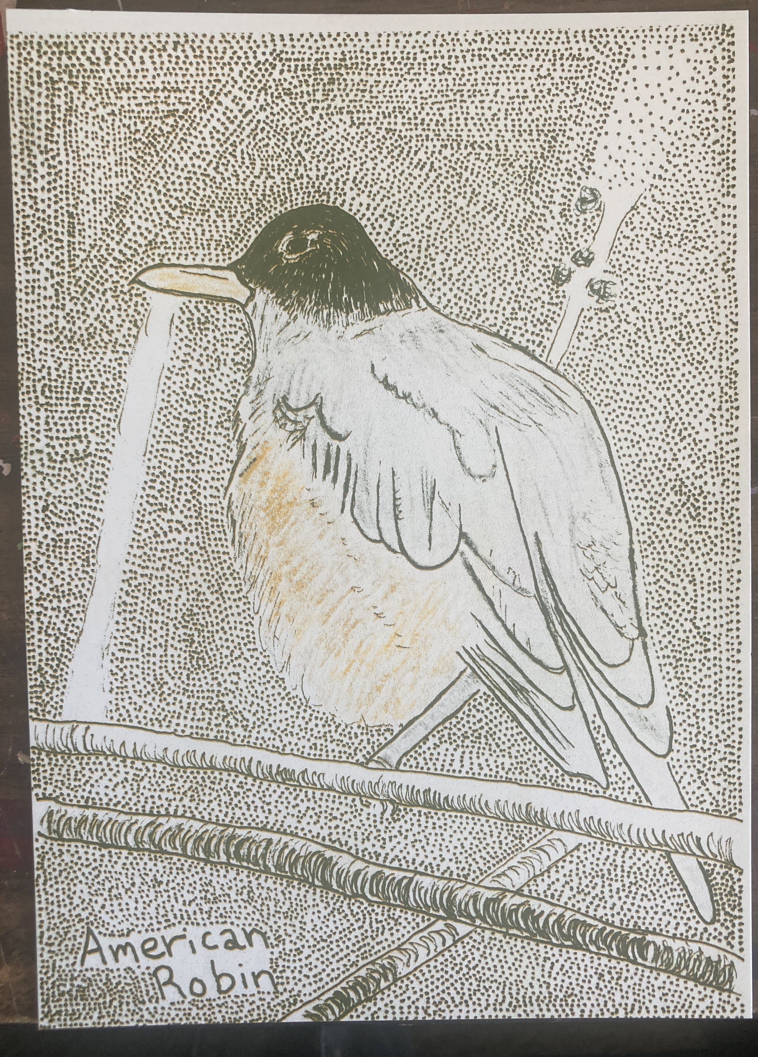 AMERICANROBINRISO