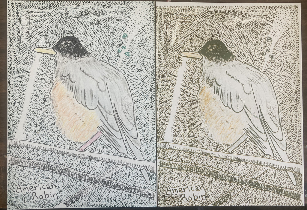 AMERICANROBINRISO