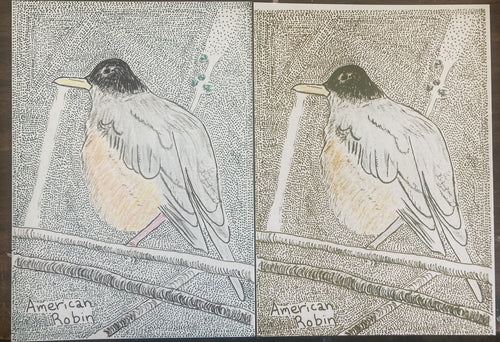 AMERICANROBINRISO