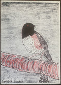 SPOTTEDTOWHEЕRISO