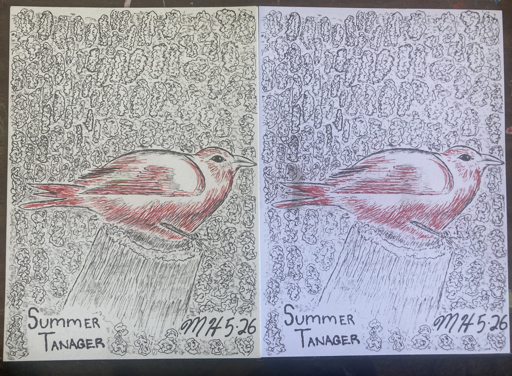 SUMMERTANAGERRISO