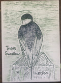 TREESWALLOWRISO