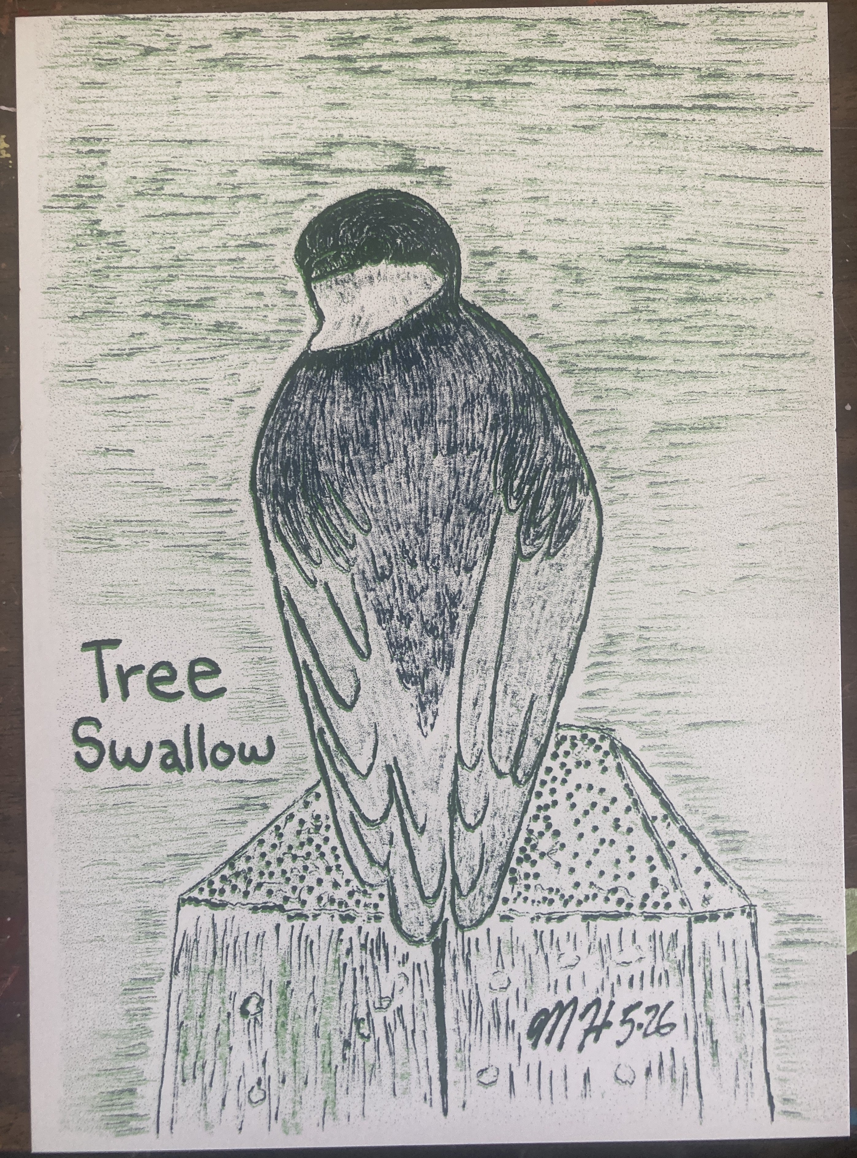 TREESWALLOWRISO