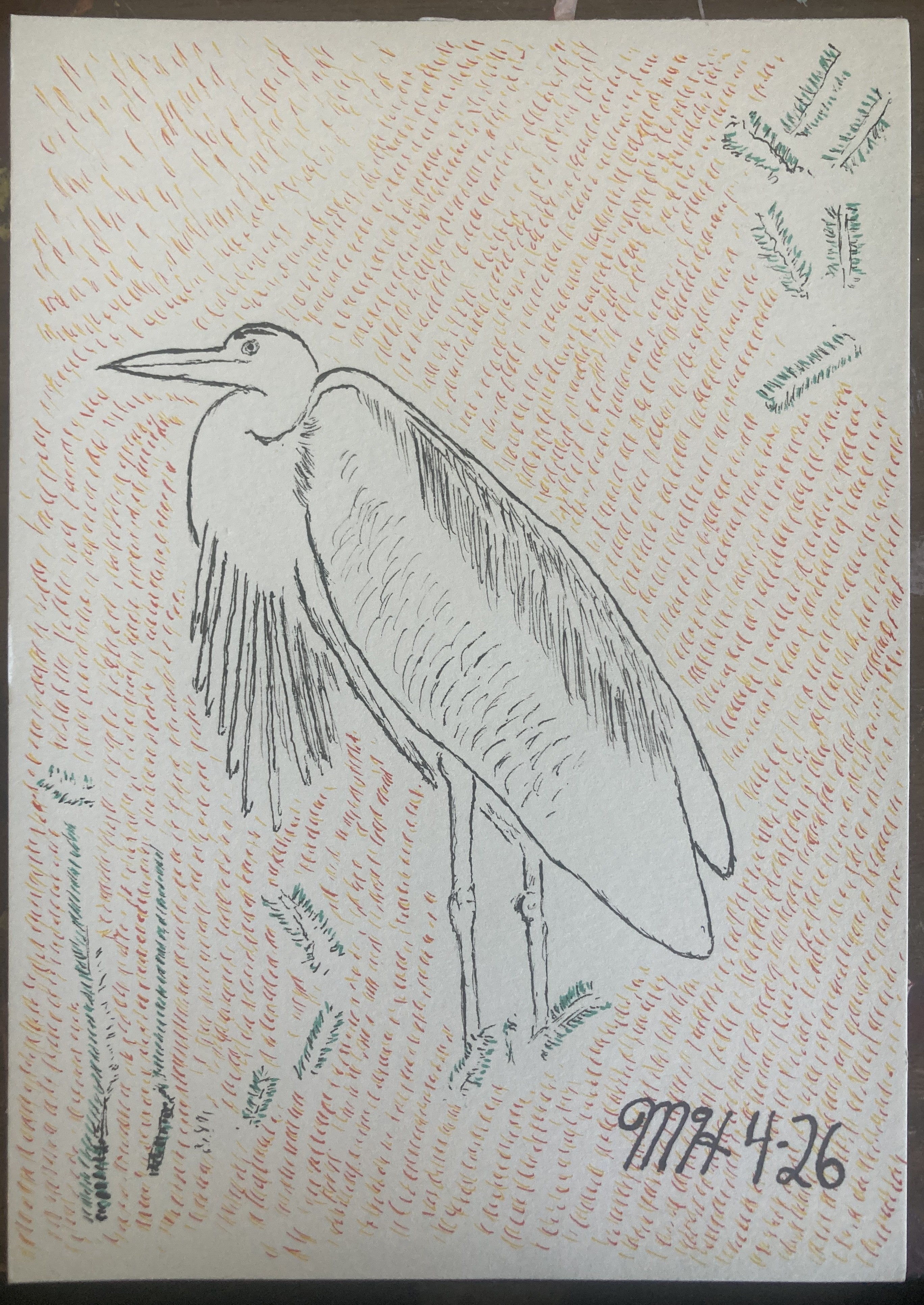 GREATBLUEHERONRISO
