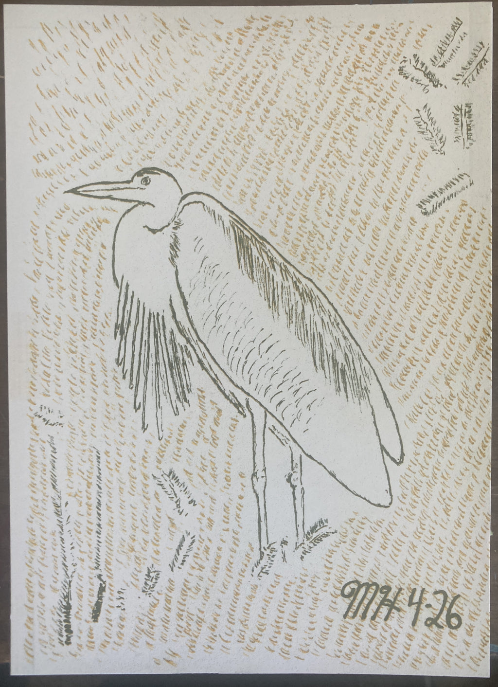GREATBLUEHERONRISO
