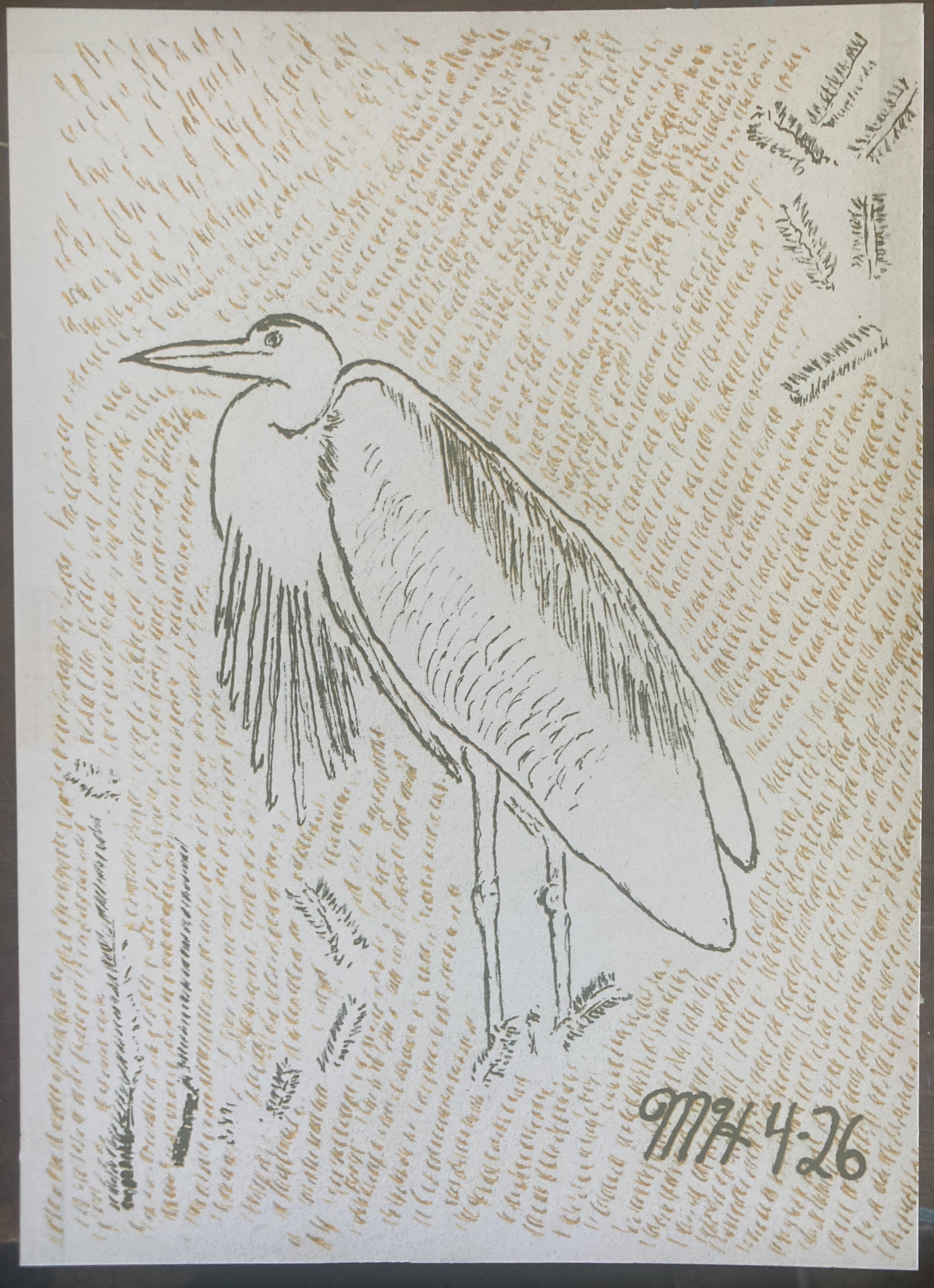 GREATBLUEHERONRISO