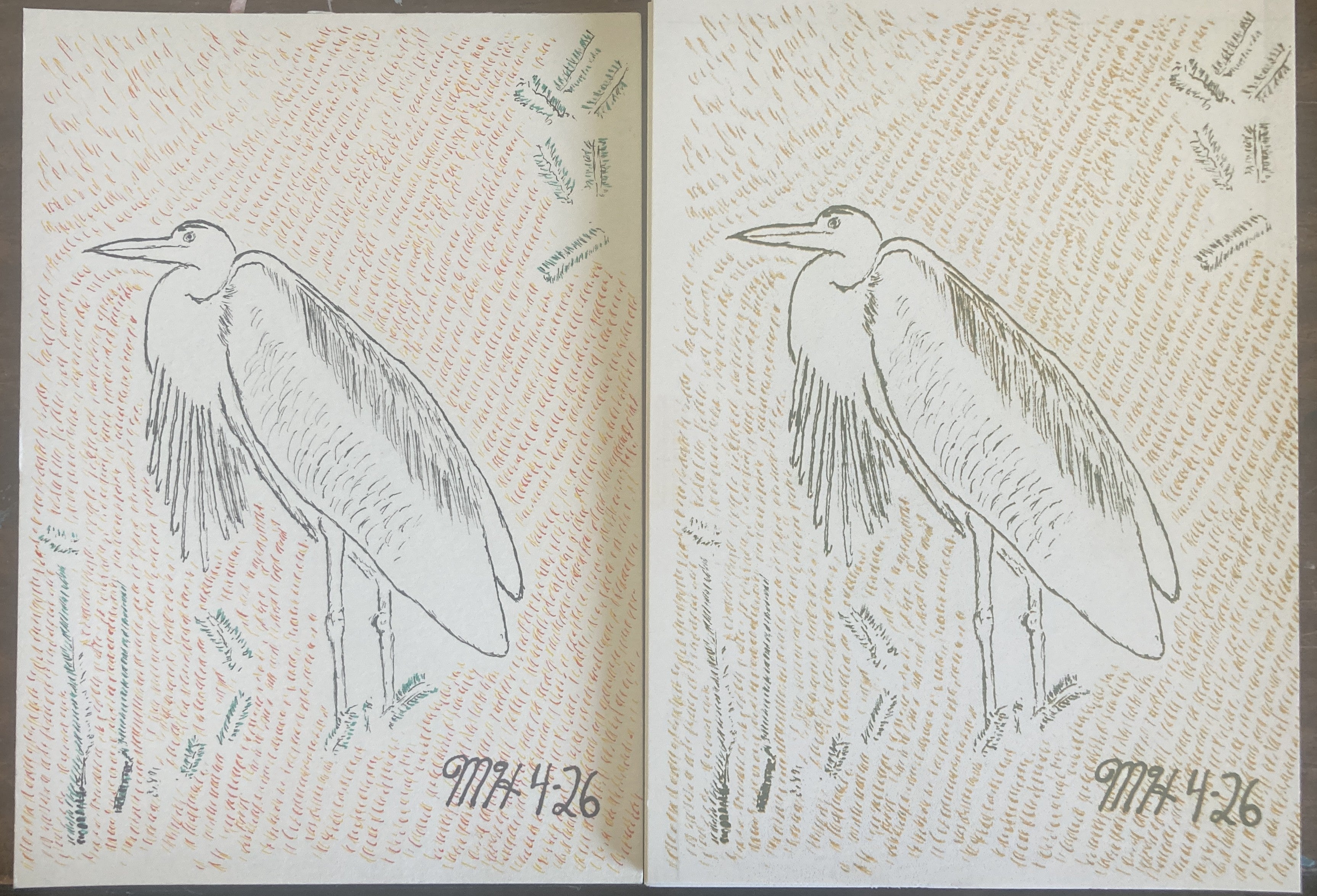 GREATBLUEHERONRISO
