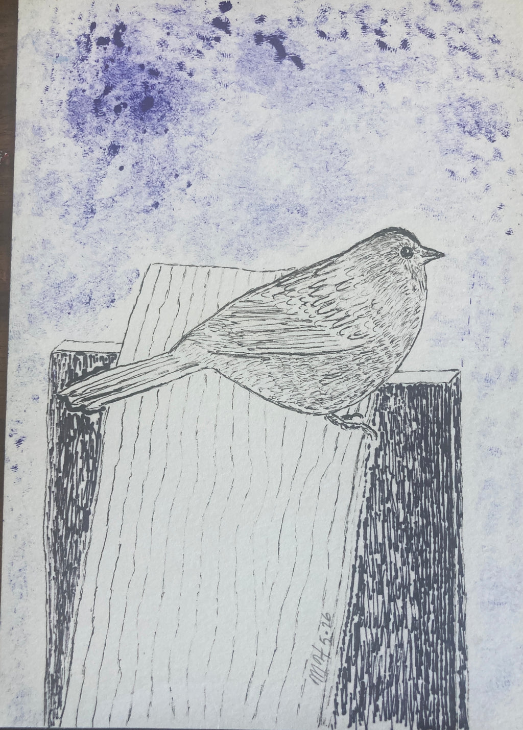 UNKNOWNBIRDRISO