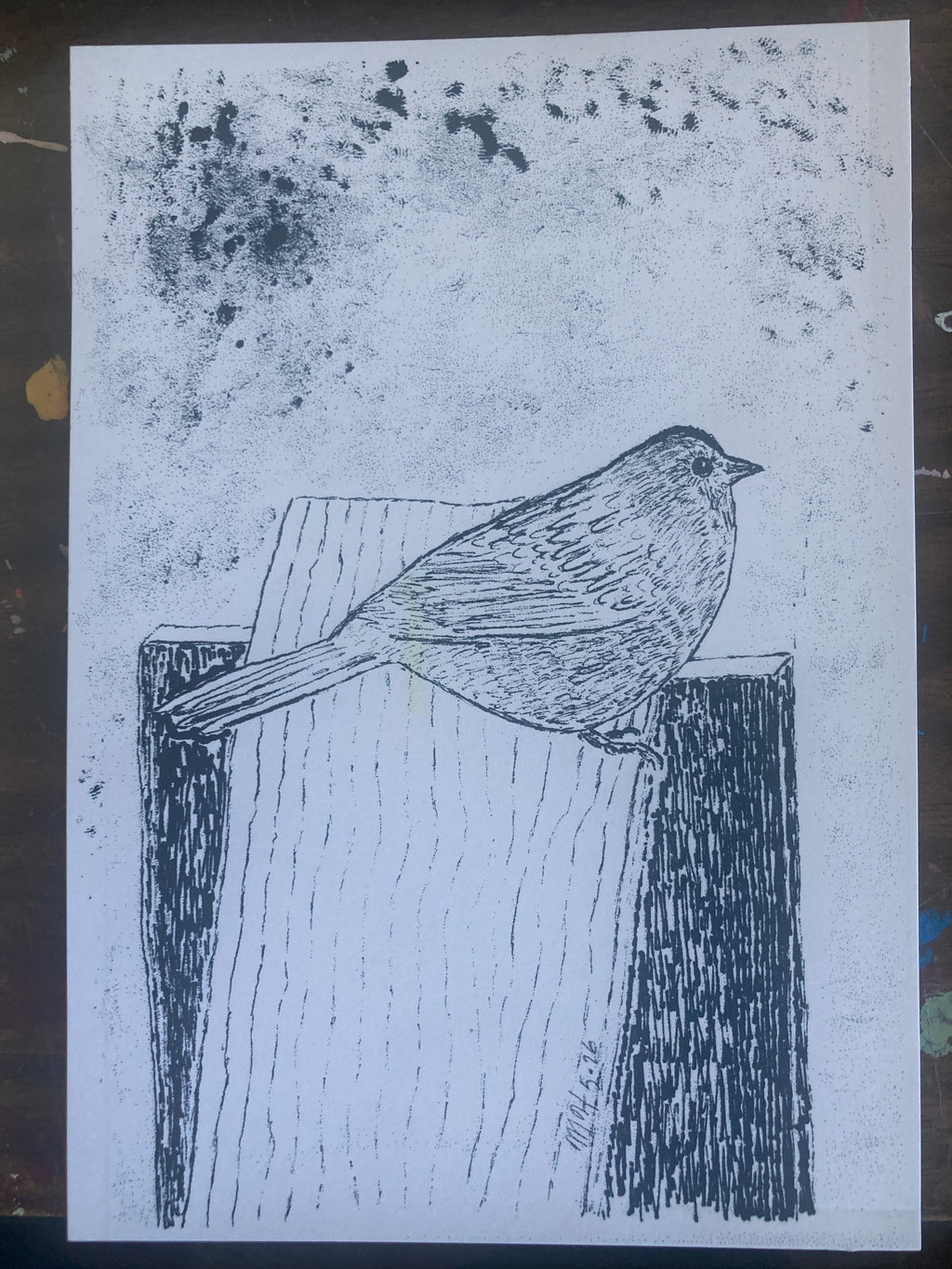 UNKNOWNBIRDRISO