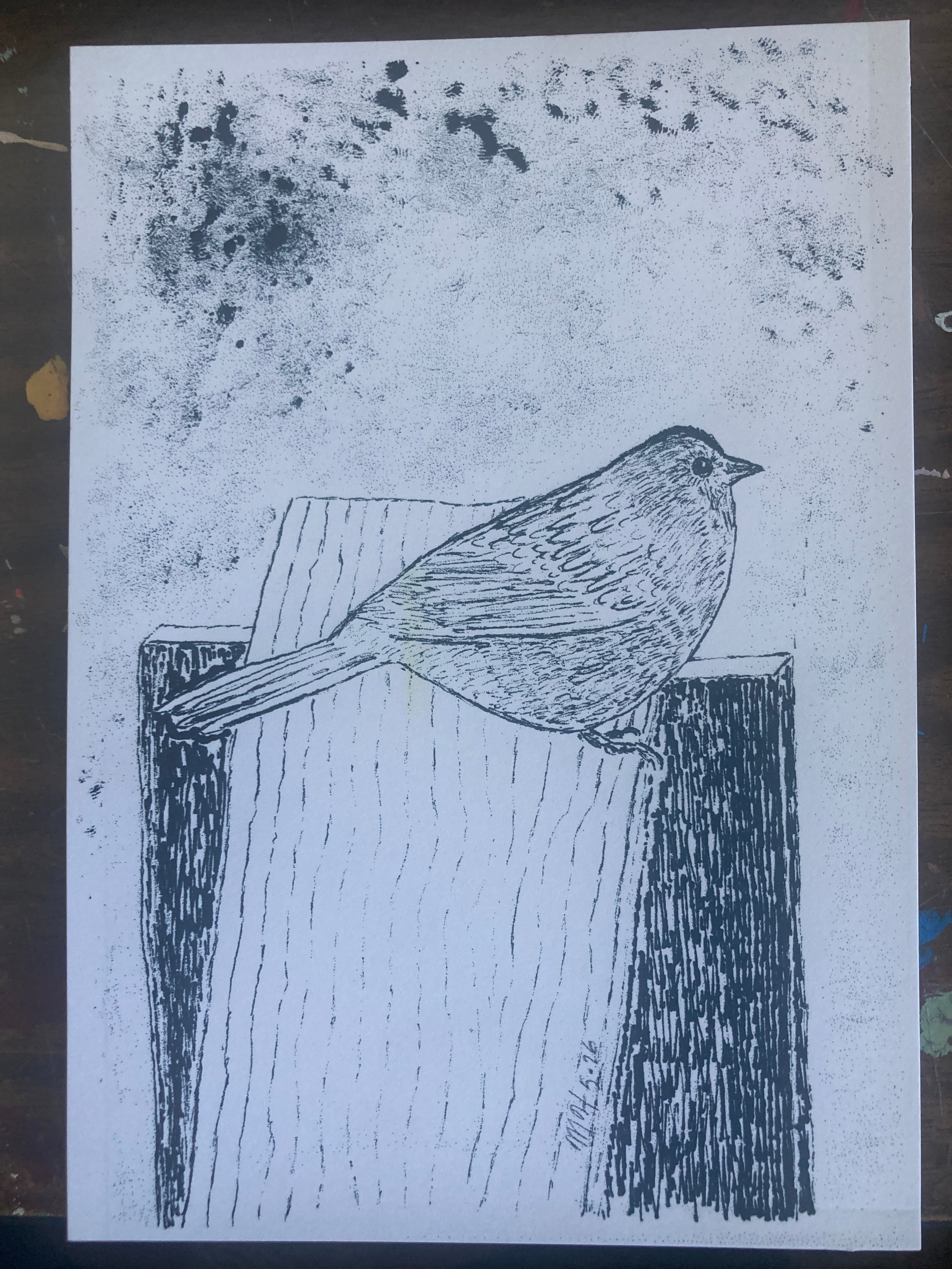 UNKNOWNBIRDRISO