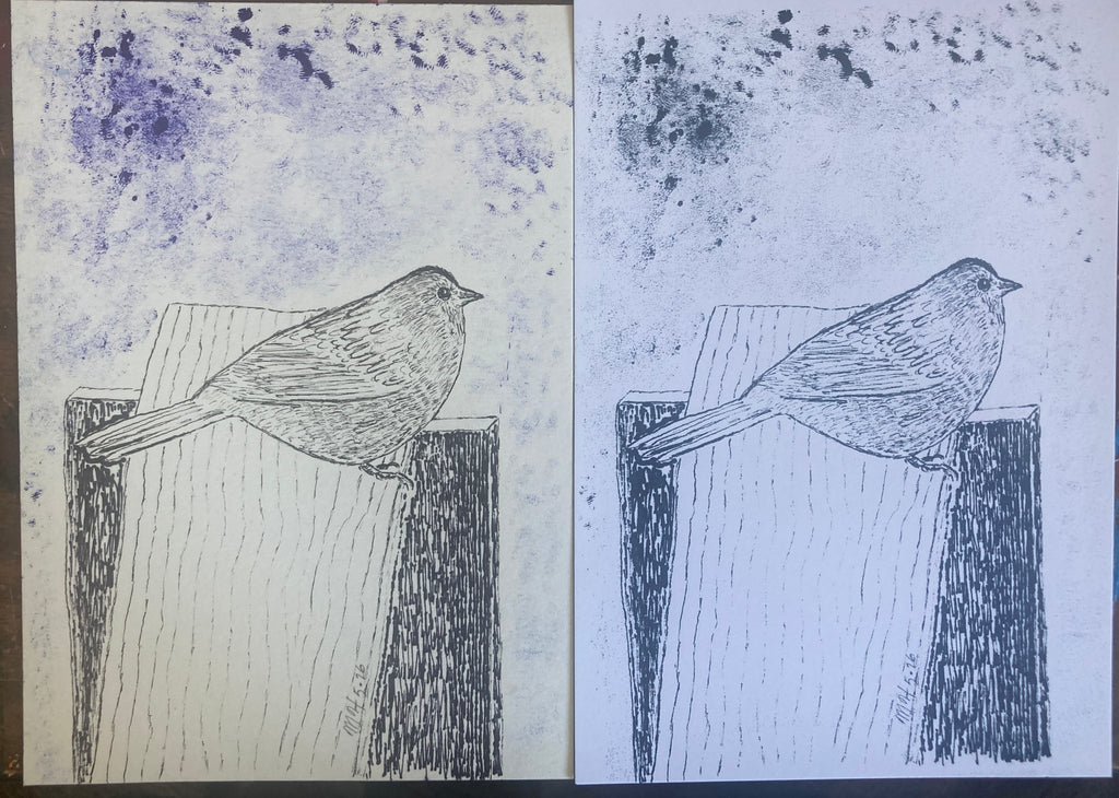 UNKNOWNBIRDRISO