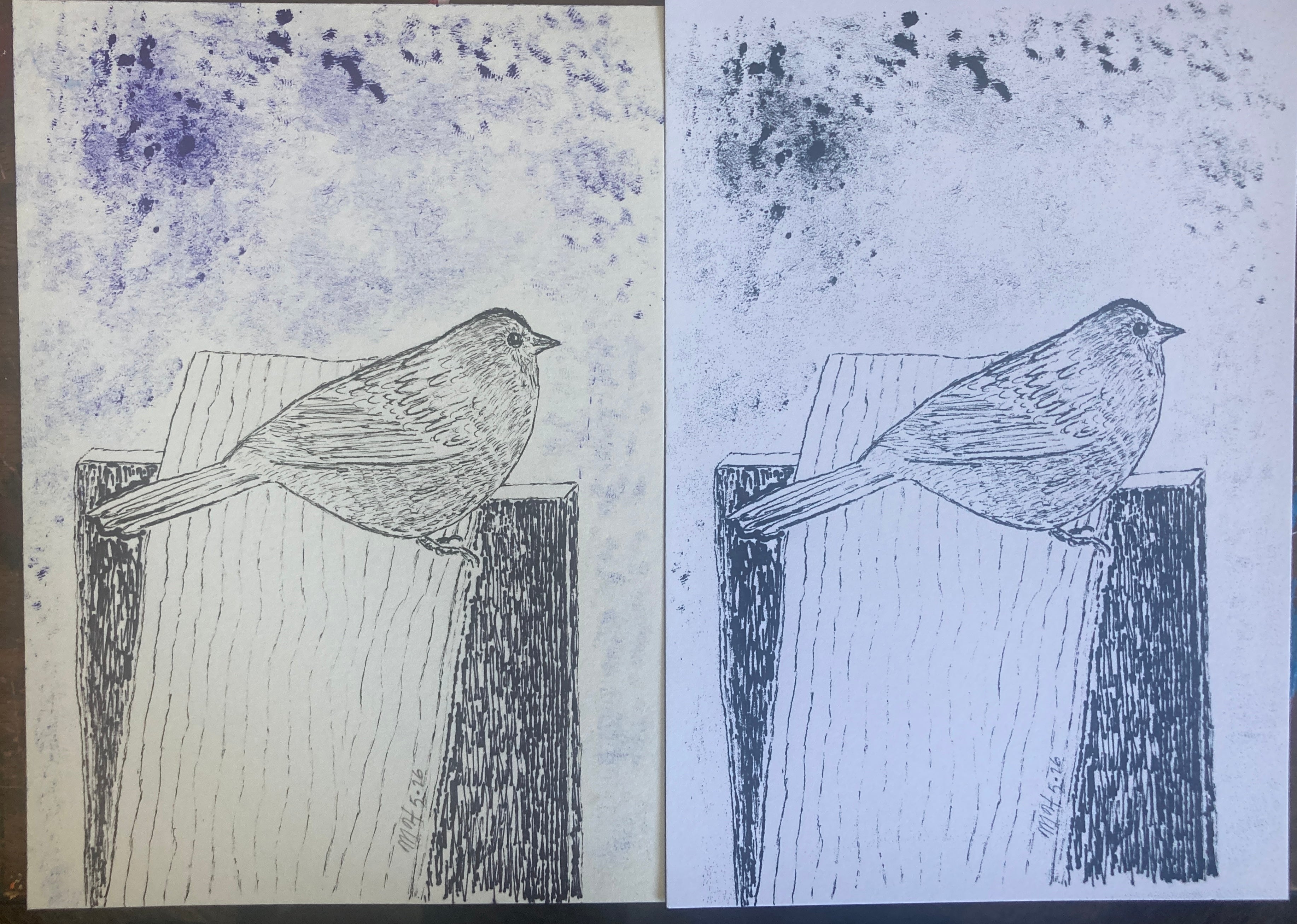 UNKNOWNBIRDRISO