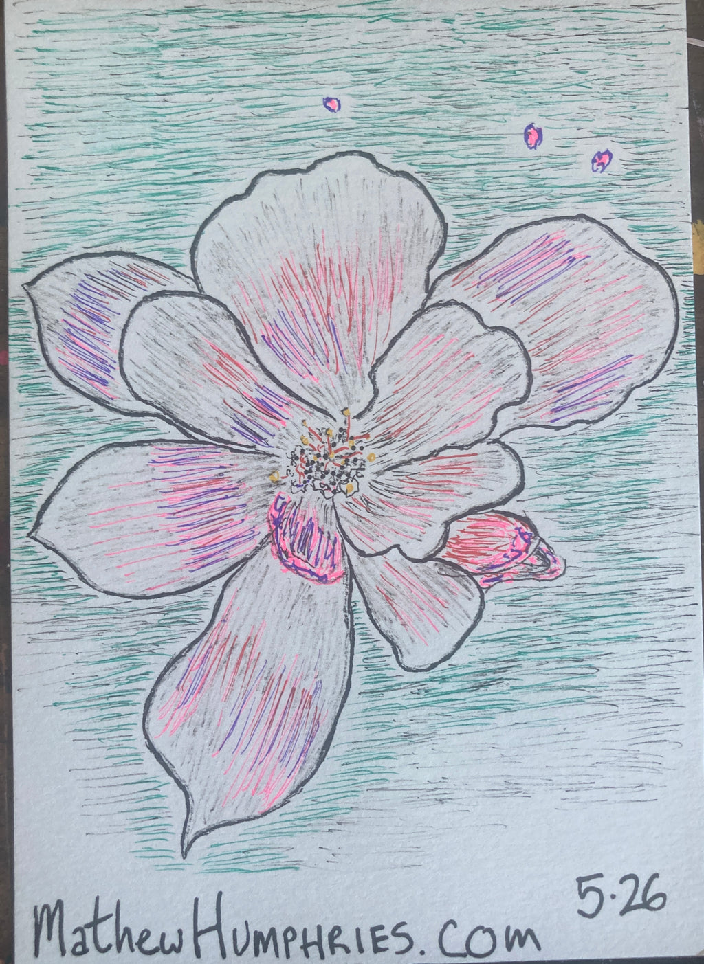 RANDOMFLOWERRISO