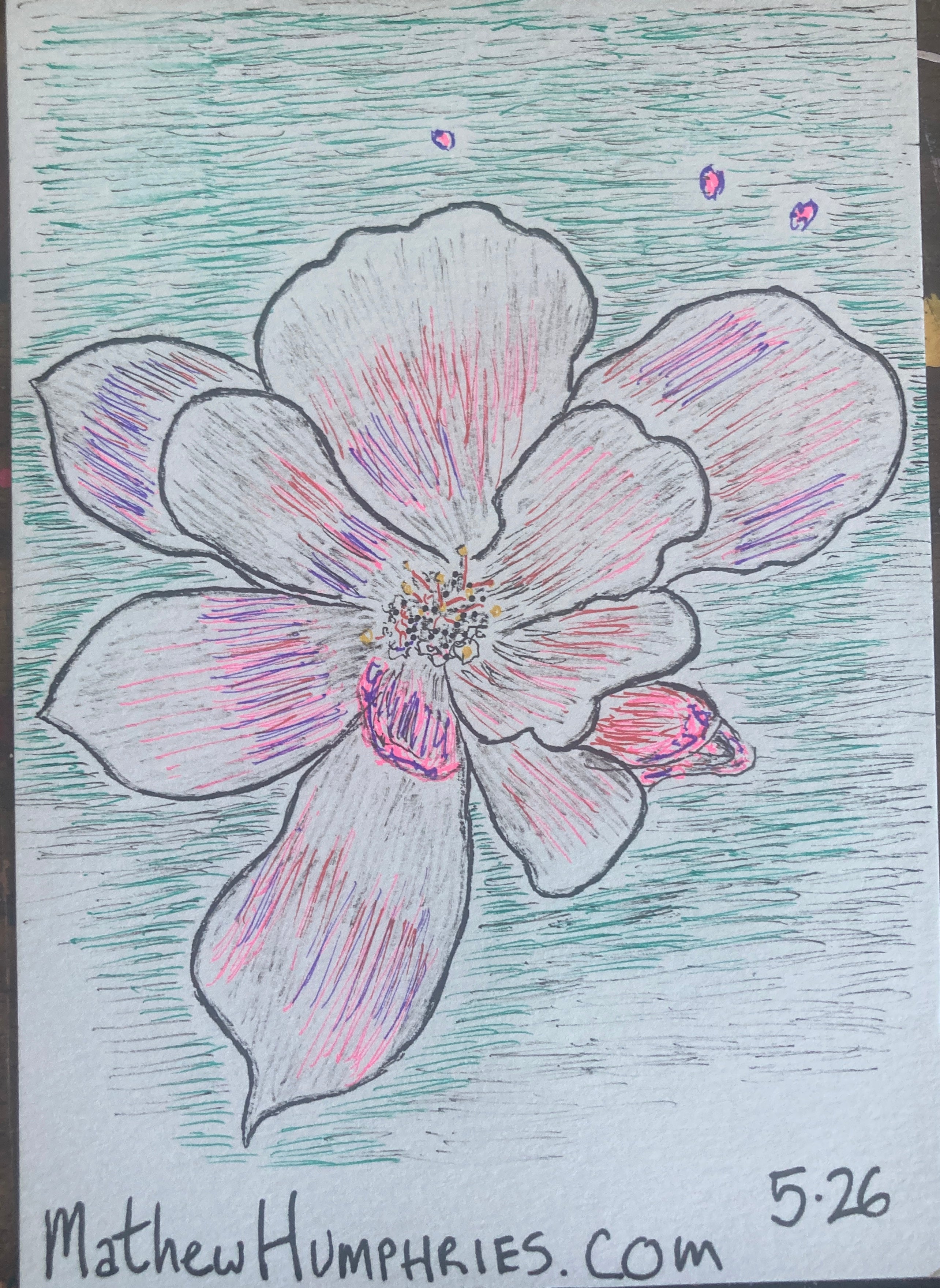RANDOMFLOWERRISO