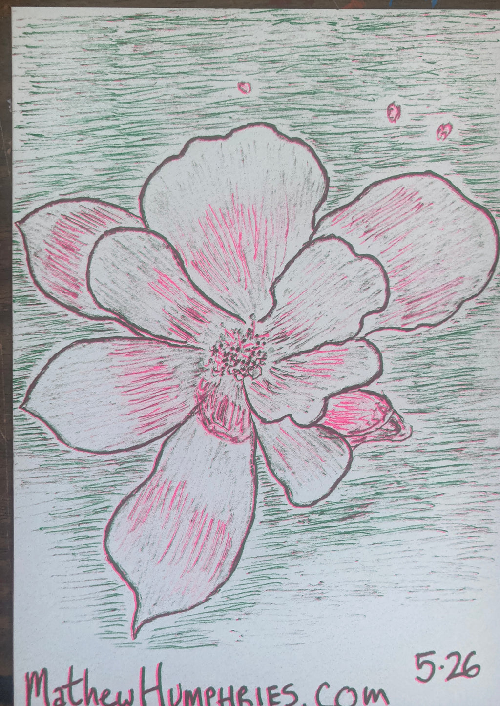 RANDOMFLOWERRISO
