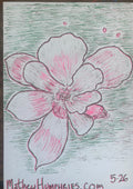 RANDOMFLOWERRISO