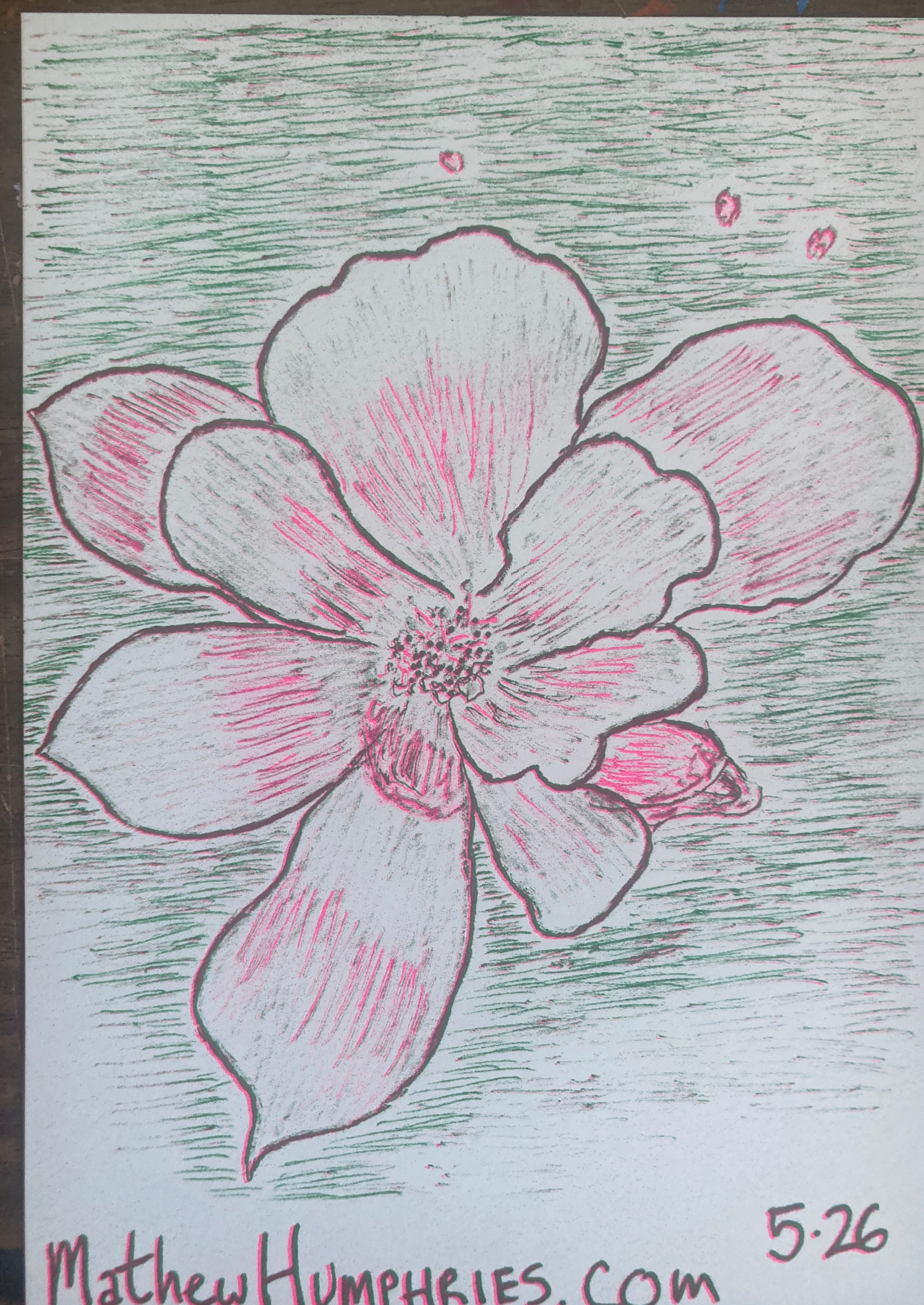 RANDOMFLOWERRISO