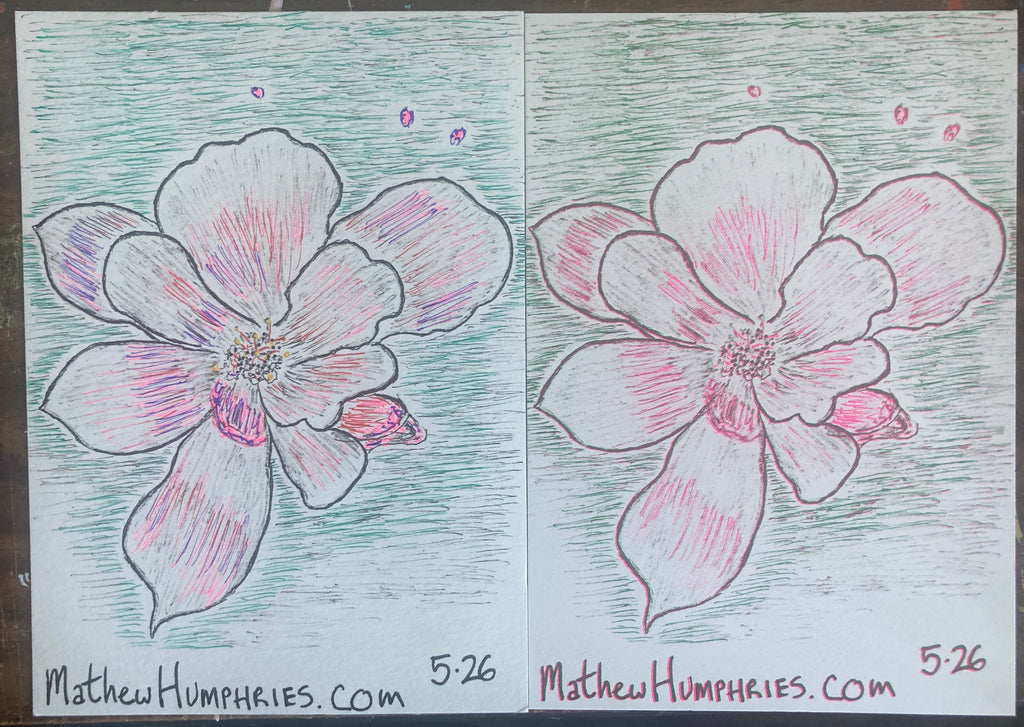 RANDOMFLOWERRISO