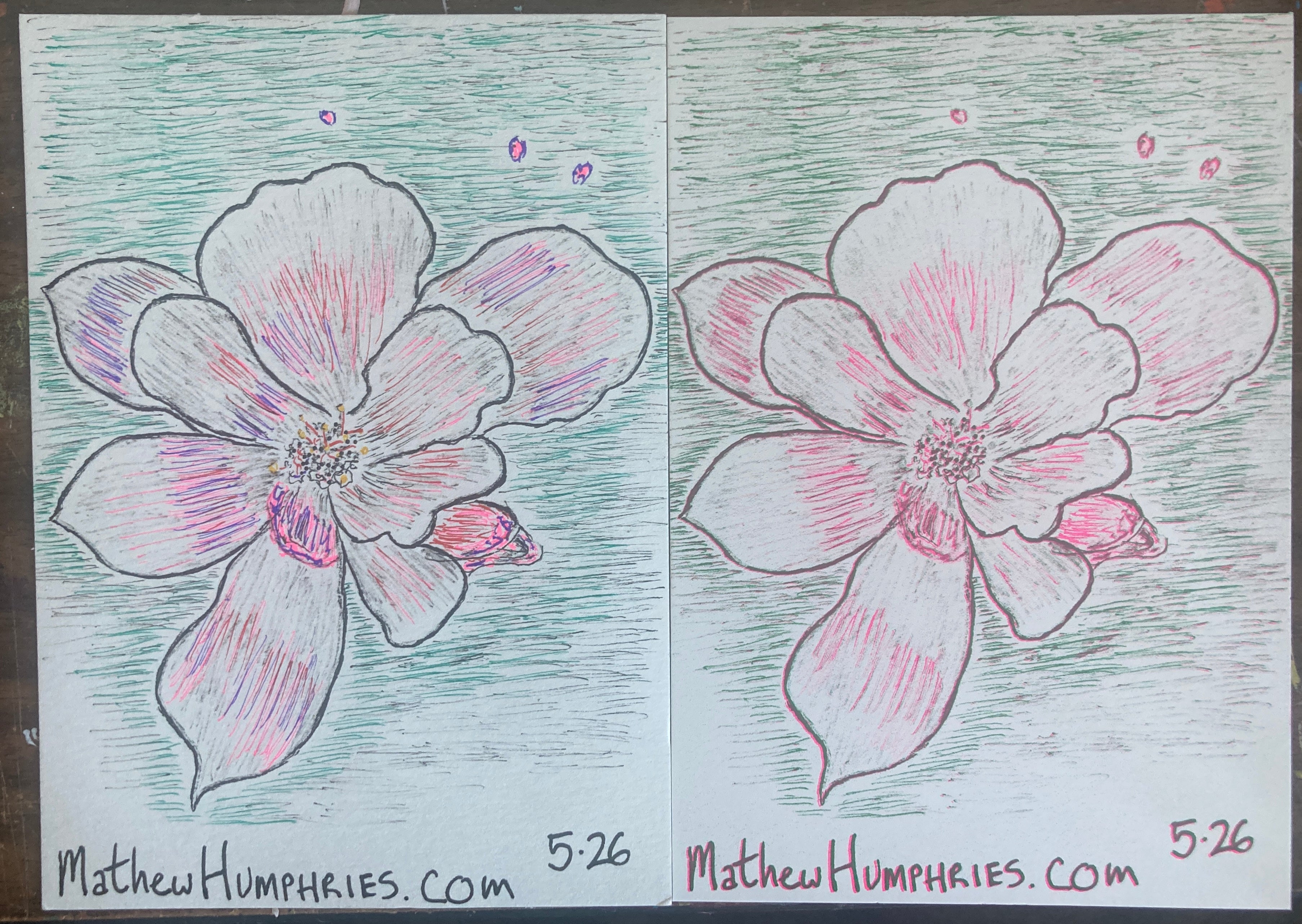 RANDOMFLOWERRISO